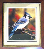 BlueJay